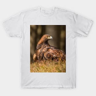 Golden Eagle T-Shirt